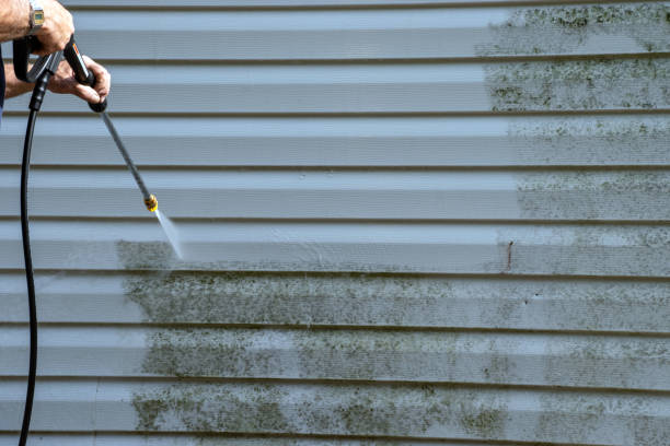 Best Shed Removal  in Fifth Ward, LA